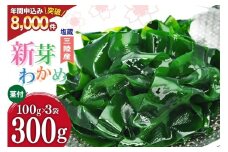 【漁師さんからのおすそわけ】新芽わかめ 300g(約100g×3袋) [かわむら家 宮城県 気仙沼市 20564375] わかめ ワカメ 若芽 海藻 国産 三陸 味噌汁 小分け 三陸わかめ 感想