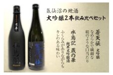気仙沼の地酒 大吟醸2本 飲み比べセット [齋新商店 宮城県 気仙沼市 20564264] お酒 酒 日本酒 セット 大吟醸 純米大吟醸 晩酌 飲み会 地酒