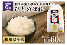 6回 定期便 米 宮城県産 ひとめぼれ 環境保全米 10kg ×6回 総計 60kg [菊武商店 宮城県 気仙沼市 20564936] お米 こめ コメ 白米 精米 ブランド米 ご飯 ごはん 小分け 家庭用 6ヶ月