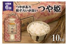 6回 定期便 米 宮城県産 つや姫 10kg ×6回 総計 60kg [菊武商店 宮城県 気仙沼市 20564927] お米 こめ コメ 白米 精米 ブランド米 ご飯 ごはん 小分け 家庭用 6ヶ月