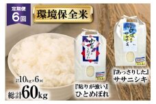 6回 定期便 米 宮城県産 ササニシキ & ひとめぼれ 環境保全米セット 各5kg 総計 10kg ×6回 総計 60kg [菊武商店 宮城県 気仙沼市 20564941] お米 こめ コメ 白米 精米 ブランド米 ご飯 ごはん 小分け 家庭用 6ヶ月