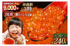 【TVで紹介！】最高級3特 国産 味付 いくら 宝壽 醤油漬 120g×2 [かわむら家 宮城県 気仙沼市 20565081] イクラ 海鮮 魚介類 醤油漬け 鮭いくら レビューキャンペーン