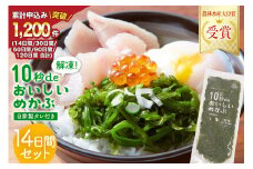 TV・新聞で紹介 ! 10秒deおいしいめかぶ 14日間セット(自家製タレ付き) [丸繁商店 宮城県 気仙沼市 20565503] 海藻 三陸 三陸産 雌株 めかぶ メカブ 無添加 タレ付き 冷蔵