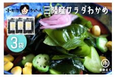 【2つの食感】 三陸産 サラダわかめ 170g ×3袋 [小野徳 宮城県 気仙沼市 20565558] 海藻 ワカメ わかめ 若布 塩蔵わかめ 塩蔵 コリコリ シャキシャキ 冷蔵