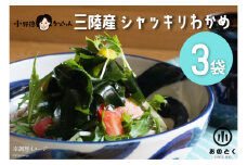 【肉厚1等品】 三陸産 シャッキリわかめ 200g ×3袋 [小野徳 宮城県 気仙沼市 20565560] 海藻 ワカメ わかめ 若布 塩蔵わかめ 塩蔵 肉厚 1等品 冷蔵