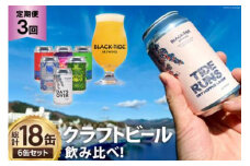 3回 定期便 BTB クラフトビール 6缶 セット【総計18缶】 [BLACK TIDE BREWING 宮城県 気仙沼市 20565555] 酒 ビール びーる 飲み比べ クラフト お酒 地ビール