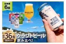 6回 定期便 BTB クラフトビール 6缶 セット【総計36缶】 [BLACK TIDE BREWING 宮城県 気仙沼市 20565556] 酒 ビール びーる 飲み比べ クラフト お酒 地ビール