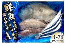 鮮魚 詰め合わせ A 3～7魚種 100サイズ分 [さんりくみらい 宮城県 気仙沼市 20563531] 産地直送 旬 魚介 魚 さかな