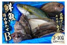 鮮魚 詰め合わせ B 3～10魚種 120サイズ分 [さんりくみらい 宮城県 気仙沼市 20563532] 産地直送 旬 魚介 魚 さかな