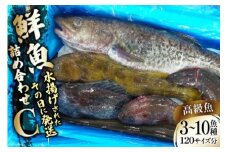 鮮魚 詰め合わせ C 3～10高級魚種 120サイズ分 [さんりくみらい 宮城県 気仙沼市 20563533] 産地直送 旬 魚介 魚 さかな