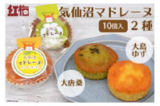 【和菓子職人が作る】気仙沼マドレーヌ 2種10個 [菓匠 紅梅 宮城県 気仙沼市 20563591] 菓子 お菓子 おやつ マドレーヌ ゆず 小分け 常温
