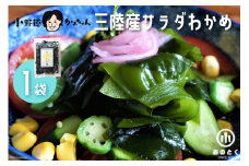 【2つの食感】 三陸産 サラダわかめ 170g ×1袋 [小野徳 宮城県 気仙沼市 20565559] 海藻 ワカメ わかめ 若布 塩蔵わかめ 塩蔵 コリコリ シャキシャキ 冷蔵