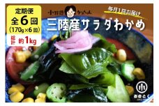 【2つの食感】6回 定期便  三陸産 サラダわかめ 170g ×6回 総計 約1kg [小野徳 宮城県 気仙沼市 20565589] 海藻 ワカメ わかめ 若布 塩蔵わかめ 塩蔵 コリコリ シャキシャキ 冷蔵