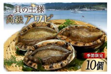 【期間限定発送】 三陸産 アワビ 10個 [さんりくみらい 宮城県 気仙沼市 20564206] 魚貝類 魚介類 鮑 あわび エゾアワビ 季節限定 期間限定 高級 冷蔵