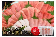 北かつのマグロ 中トロセット [北かつ商事 宮城県 気仙沼市 20563599] 魚 刺身 柵 鮪 まぐろ マグロ 本マグロ 南マグロ 中トロ メカジキ メバチ めばち ビンチョウ 冷凍 魚介類 魚介 新鮮 高級 レビューキャンペーン
