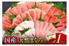 北かつのマグロ 中トロセット [北かつ商事 宮城県 気仙沼市 20563599] 魚 刺身 柵 鮪 まぐろ マグロ 本マグロ 南マグロ 中トロ メカジキ メバチ めばち ビンチョウ 冷凍 魚介類 魚介 新鮮 高級 レビューキャンペーン