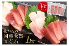北かつのマグロ上質セット (マグロ中トロ 200g マグロ上質赤身 200g×2 メカジキ 200g びんちょう 200g）合計1kg [北かつ商事 宮城県 気仙沼市 20563511] 魚 鮪 マグロ 中トロ まぐろ 赤身 刺身 魚介 メカジキ 冷凍 レビューキャンペーン