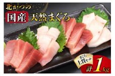 北かつのマグロ上質セット (マグロ中トロ 200g マグロ上質赤身 200g×2 メカジキ 200g びんちょう 200g）合計1kg [北かつ商事 宮城県 気仙沼市 20563511] 魚 鮪 マグロ 中トロ まぐろ 赤身 刺身 魚介 メカジキ 冷凍 レビューキャンペーン