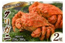 かに クリガニ ボイル 2尾 [さんりくみらい 宮城県 気仙沼市 20564239] 栗蟹 カニ 蟹 プレゼント ギフト 贈り物 お歳暮 お中元