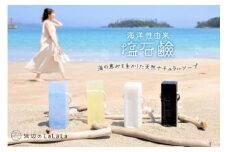 【海洋性由来】塩石鹸（石鹸用ロープ付き） [浜辺のLaLaLa 宮城県 気仙沼市 20563568] 石けん せっけん いい香り 柑橘系