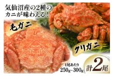 かに 毛ガニ & クリガニ 食べ比べ ボイル 各1尾 計2尾 [さんりくみらい 宮城県 気仙沼市 20564240] 魚介 魚貝 蟹 カニ 毛ガニ くりがに 濃厚 ご褒美 ごちそう 豪華