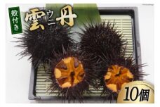 【期間限定発送】 三陸産 ウニ 殻付き 10個 [さんりくみらい 宮城県 気仙沼市 20564808] 生 うに 雲丹 キタムラサキウニ 海産物  生ウニ 生雲丹 季節限定 期間限定