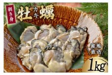 【期間限定発送】 三陸産 牡蠣 剥き身 1kg [さんりくみらい 宮城県 気仙沼市 20564191] 魚貝類 魚介類 カキ かき 冬 季節限定 期間限定 冷蔵