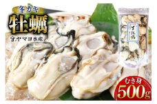 【期間限定発送】ヤマヨ水産の牡蠣 生食用 むき身 500g 《2月前半～出荷》 [気仙沼市物産振興協会 宮城県 気仙沼市 20565231] 魚介類 海鮮 牡蠣 冬 かき 冬牡蠣 冬かき 期間限定 冷蔵 生食 生牡蠣