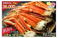 訳あり ボイル ずわいがに 肩付き脚 総重量1kg [カネダイ 宮城県 気仙沼市 20564325] カニ かに 魚介類 ズワイガニ ずわい蟹 ズワイ蟹 ずわい ズワイ 蟹 カニ カニ脚 蟹脚 不揃い 規格外 海鮮 ご褒美