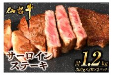 肉 ステーキ 仙台牛サーロインステーキ計1.2kg [気仙沼市物産振興協会 宮城県 気仙沼市 20565271] 仙台牛 ブランド牛