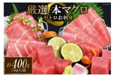 まぐろ 本マグロ背トロ 約400g(200g×2柵) [豊洋海産流通 宮城県 気仙沼市 20563371] 中トロ 刺身 冷凍 レビューキャンペーン
