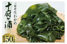生わかめ 三陸産 十府ヶ浦 150g [マルニシ 宮城県 気仙沼市 20564316] わかめ 海藻 三陸わかめ