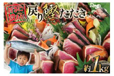 戻り鰹たたき 約1kg [カネダイ 宮城県 気仙沼市 20564358] カツオ かつお 鮮魚 トロ 冷凍