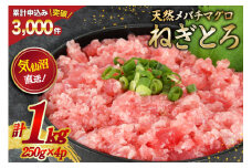 ネギトロ 気仙沼港直送 1kg (250g×4p) [畠和水産 宮城県 気仙沼市 20563348] メバチマグロタタキ 三陸産 小分け まぐろ丼 ねぎとろ まぐろ まぐろたたき 鮪 レビューキャンペーン