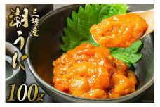 三陸産 潮うに 100g [大菊 宮城県 気仙沼市 20563727] ウニ 雲丹 うに ミョウバン不使用 塩うに 塩ウニ 粒うに キタムラサキウニ 冷凍 パック 塩分控えめ