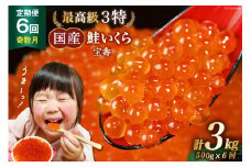 【TVで紹介！】定期便 6回 奇数月発送 最高級3特 国産 味付 いくら 宝壽 醤油漬 計3kg (500g×6回) / かわむら家 / 宮城県 気仙沼市 [20561834] イクラ 海鮮 魚介類 醤油 ふるさと納税 ふるさとのうぜい ふるさと 鮭卵 感想