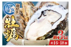 【期間限定発送】 TVで紹介！ 牡蠣 3～4年モノ 生食 殻付き牡蠣 約3kg(約16-18個入) [住喜水産 宮城県 気仙沼市 20564186] 期間限定 冷蔵 新鮮 濃厚 真牡蠣 カキ かき 生牡蠣 魚貝類 生牡蠣 貝 海鮮 魚介類 なべ カキフライ 牡蠣ご飯 魚介