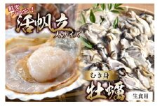 活帆立8枚 牡蠣むき身 500g セット [かみたいら 宮城県 気仙沼市 20564233] 刺身 ほたて ホタテ かき 牡蠣 冷蔵