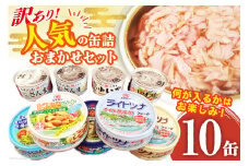 訳あり お任せ 缶詰 人気10缶セット [ミヤカン 宮城県 気仙沼市 20563805] ツナ缶 さば缶 さんま缶 いか缶 いわし缶 詰め合わせ おかず 小分け 常備 ストック 長期保存 レビューキャンペーン