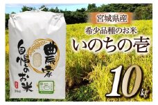 米 いのちの壱 10kg [ティエスサービス 宮城県 気仙沼市 20563812] 米 お米 精米 白米 ごはん ご飯