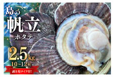 生産者支援 島の帆立 2.5kg (10~12枚) ホタテ剥き用ナイフ付 [カネキ水産 宮城県 気仙沼市 20564054] 期間限定 冷蔵 ホタテ ほたて 帆立 濃厚 肉厚 新鮮 殻付き 大粒 大玉 生食用 刺身 バター焼き 魚介類 海鮮