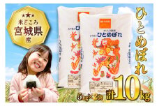 米 宮城県産 ひとめぼれ 10kg (5kg×2袋) [気仙沼米穀商業協同組合 宮城県 気仙沼市 20565511] 一等米 ブランド米 白米 精米 ご飯 ごはん コメ こめ お米 小分け 家庭用 レビューキャンペーン