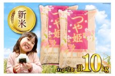 米 宮城県産 つや姫 10kg (5kg×2袋) [気仙沼米穀商業協同組合 宮城県 気仙沼市 20564676] 一等米 ブランド米 白米 精米 ご飯 ごはん コメ こめ 小分け 家庭用 レビューキャンペーン