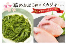 ＼満点★青空レストランで紹介／ 春つげ華めかぶ 3種 （千切りメカブ・削ぎメカブ・まるままメカブ) メカジキ セット [第38漁徳丸 宮城県 気仙沼市 20565076] 魚介類 海藻 メカブ メカジキ めかぶ メカ 芽株 三陸めかぶ 食べ比べ 冷蔵
