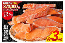 訳あり 銀鮭 切身 約3kg [宮城東洋 宮城県 気仙沼市 20564992] 鮭 魚介類 海鮮 訳アリ 規格外 不揃い さけ サケ 鮭切身 シャケ 切り身 冷凍 家庭用 おかず 弁当 支援 サーモン 銀鮭切り身 魚 わけあり