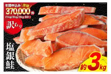 訳あり 銀鮭 切身 約3kg [宮城東洋 宮城県 気仙沼市 20564992] 鮭 魚介類 海鮮 訳アリ 規格外 不揃い さけ サケ 鮭切身 シャケ 切り身 冷凍 家庭用 おかず 弁当 支援 サーモン 銀鮭切り身 魚 わけあり