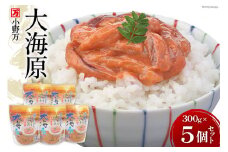 海の恵みをじっくり仕込んだ塩辛 大海原 300g 5個セット [小野万 宮城県 気仙沼市 20564655] 魚 魚介類 いか イカ 塩辛 いか塩辛 イカ塩辛 冷蔵 酒の肴 おつまみ ご飯のお供