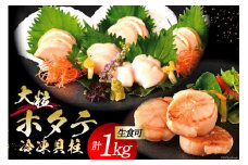 生産者支援 大粒 ホタテ貝柱 生食可 1kg(500g×2p) [かみたいら 宮城県 気仙沼市 20563829] ホタテ 帆立 ほたて 貝柱 大 大玉 小分け 刺身 生刺身 冷凍 貝 魚介類 生食 生食用 ホタテの貝柱