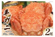 【お中元】かに 毛がに ボイル 2尾 [さんりくみらい 宮城県 気仙沼市 20564224] 毛蟹 カニ 蟹 プレゼント ギフト 贈り物 お歳暮 お中元
