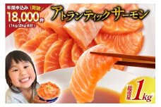 ノルウェー産 アトランティックサーモン 総重量 1kg (正味重量850g) [カネダイ 宮城県 気仙沼市 20565509] 魚 魚介類 サーモン 刺身 アトランティック アトラン 小分け 冷凍 鮭 さけ 訳あり ノルウェー